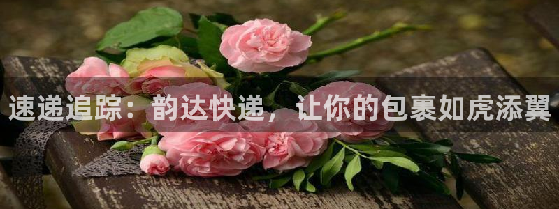 豪门国际如何看012路计划：速递追踪