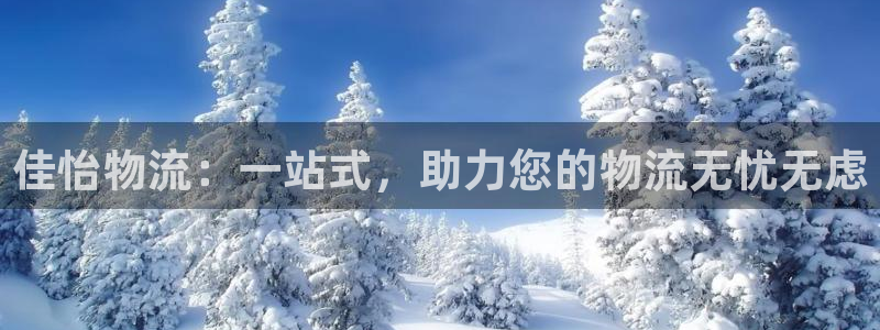 豪门国际和南宫28什么关系：佳怡物流