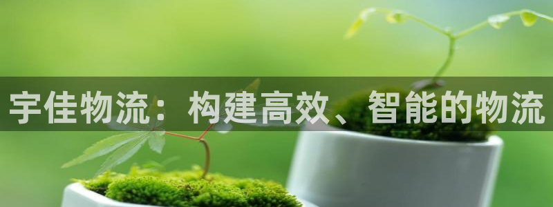 豪门国际官网网站：宇佳物流：构建高效