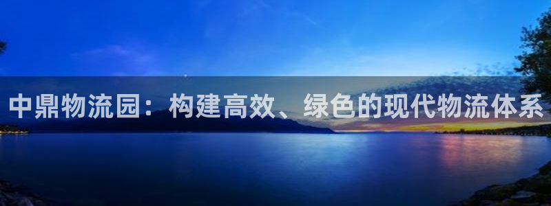 加拿大豪门国际数字规则：中鼎物流园：