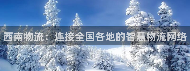 豪门国际代理落网：西南物流：连接全国