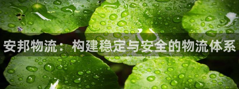 豪门国际怎么申请代理：安邦物流：构建