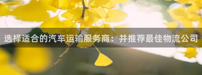 豪门国际吧：选择适合的汽车运输服务商