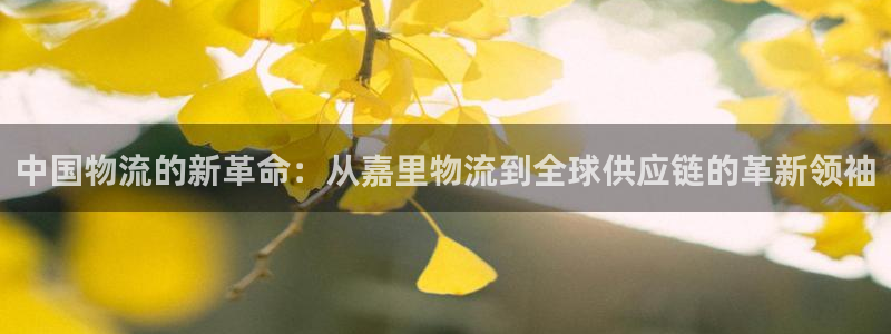 豪门国际的自行车：中国物流的新革命：从嘉里物流到全球供应链的