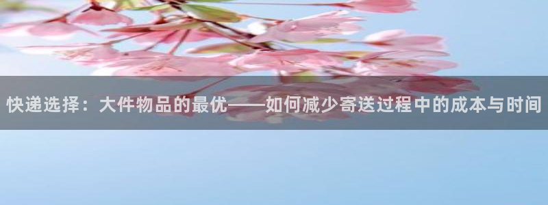 豪门国际cn：快递选择：大件物品的最