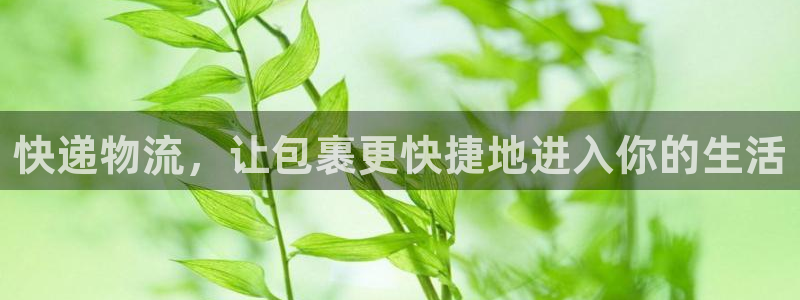 豪门国际加拿大下载