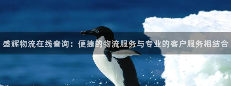 加拿大豪门国际数字规则：盛辉物流在线