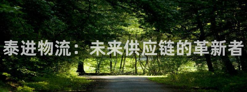 豪门国际加拿大怎么玩：泰进物流：未来