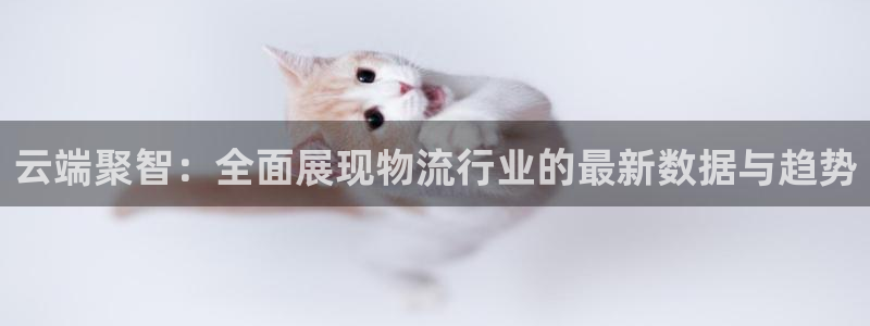 豪门国际预测加拿大：云端聚智：全面展
