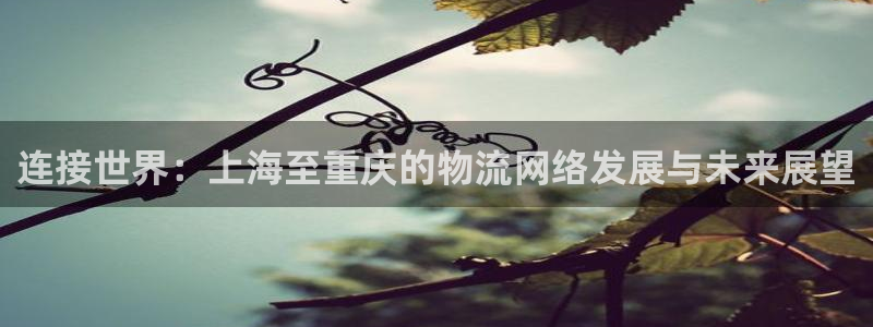 豪门国际ccm官网版：连接世界：上海