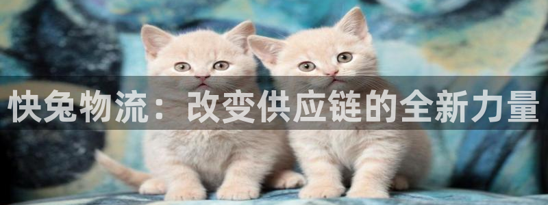 豪门国际能提现吗：快兔物流：改变供应