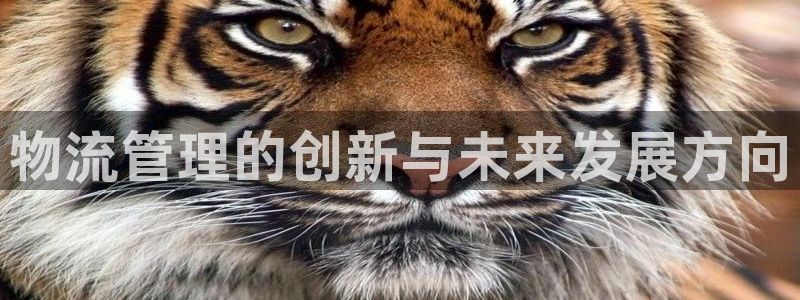 自行车豪门国际是什么意思：物流管理的