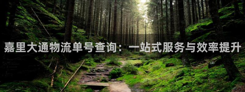 豪门国际选28ng官网