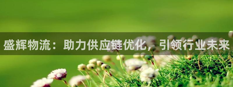 豪门国际怎么注册游戏名字：盛辉物流：