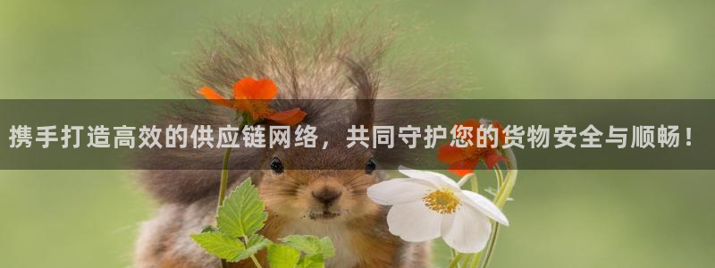 豪门国际注册官网：携手打造高效的供应