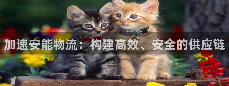 豪门国际注册用户名是什么：加速安能物